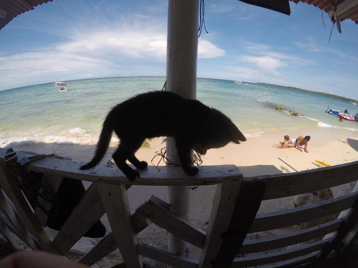 Despertarte Espacio De Arte Y Hospedaje Playa Blanca Exteriér fotografie